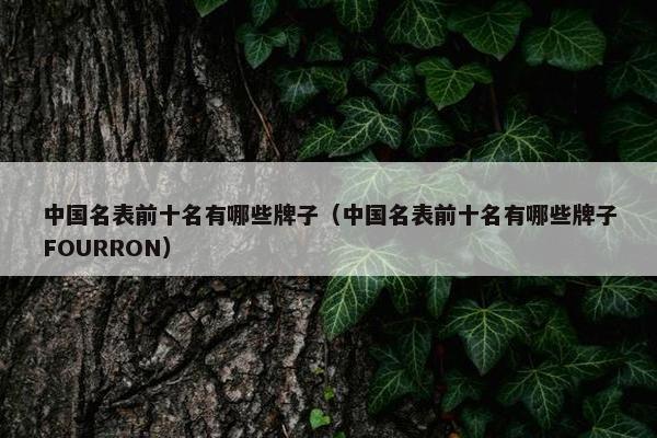 中国名表前十名有哪些牌子（中国名表前十名有哪些牌子FOURRON）