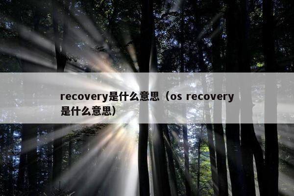 recovery是什么意思（os recovery是什么意思）