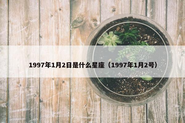 1997年1月2日是什么星座（1997年1月2号）