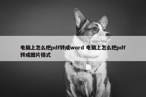 电脑上怎么把pdf转成word 电脑上怎么把pdf转成图片格式