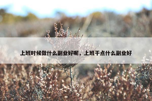 上班时候做什么副业好呢，上班干点什么副业好