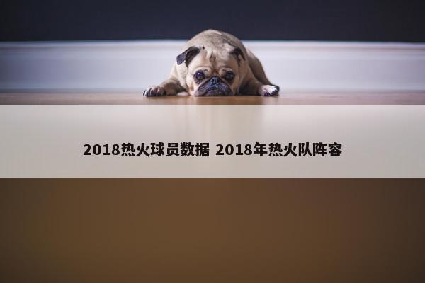 2018热火球员数据 2018年热火队阵容