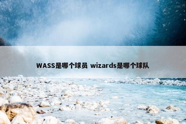 WASS是哪个球员 wizards是哪个球队