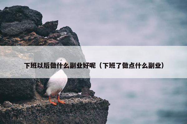 下班以后做什么副业好呢（下班了做点什么副业）