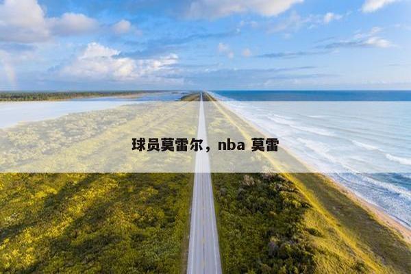 球员莫雷尔，nba 莫雷