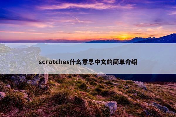 scratches什么意思中文的简单介绍