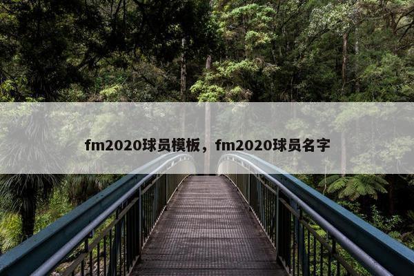 fm2020球员模板，fm2020球员名字