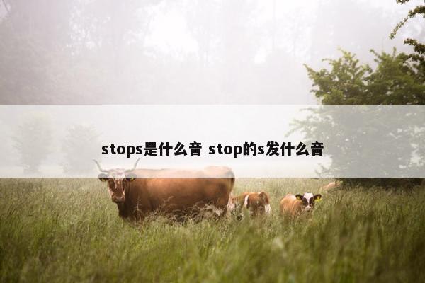 stops是什么音 stop的s发什么音