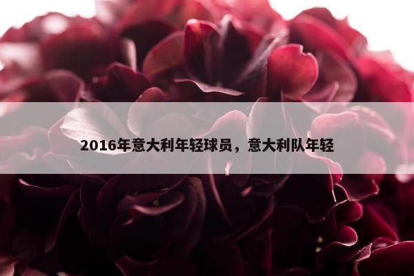 2016年意大利年轻球员，意大利队年轻