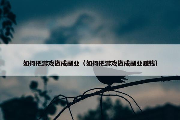 如何把游戏做成副业（如何把游戏做成副业赚钱）