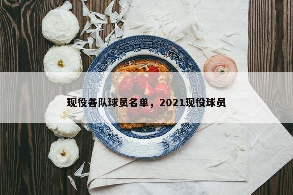 现役各队球员名单，2021现役球员