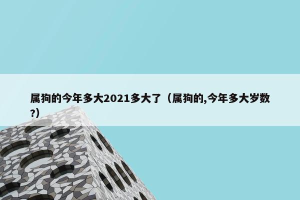 属狗的今年多大2021多大了（属狗的,今年多大岁数?）