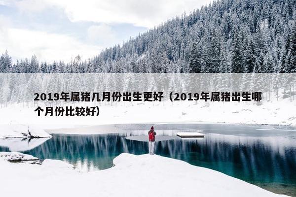 2019年属猪几月份出生更好（2019年属猪出生哪个月份比较好）