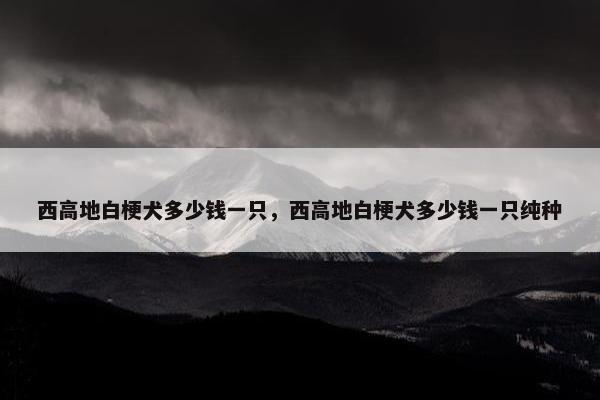 西高地白梗犬多少钱一只，西高地白梗犬多少钱一只纯种