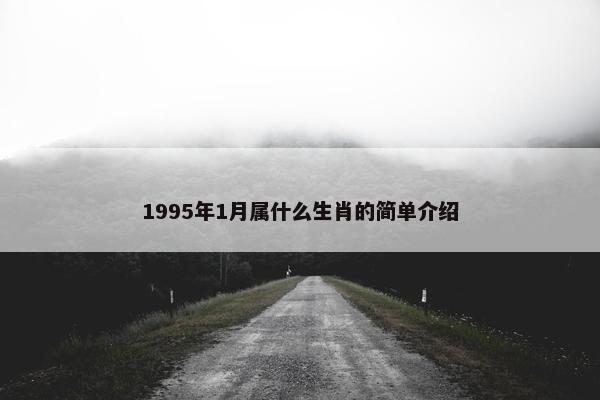 1995年1月属什么生肖的简单介绍