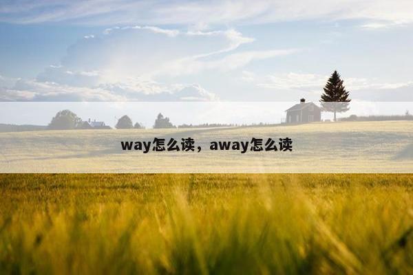 way怎么读，away怎么读