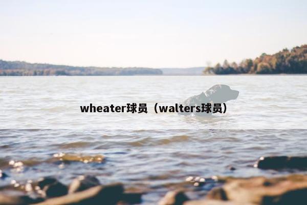 wheater球员（walters球员）