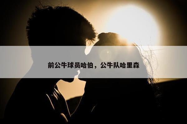 前公牛球员哈伯，公牛队哈里森