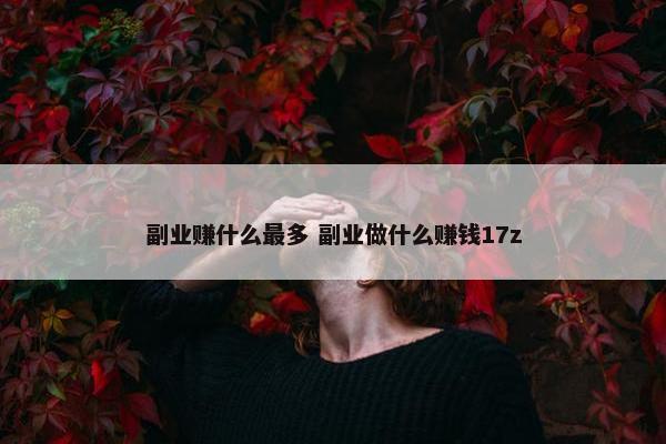 副业赚什么最多 副业做什么赚钱17z