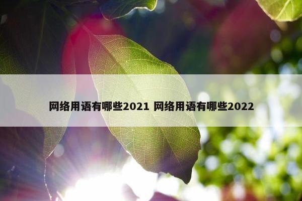 网络用语有哪些2021 网络用语有哪些2022