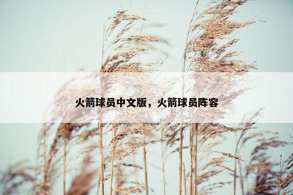 火箭球员中文版，火箭球员阵容