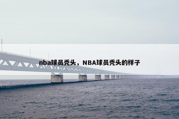 nba球员秃头，NBA球员秃头的样子