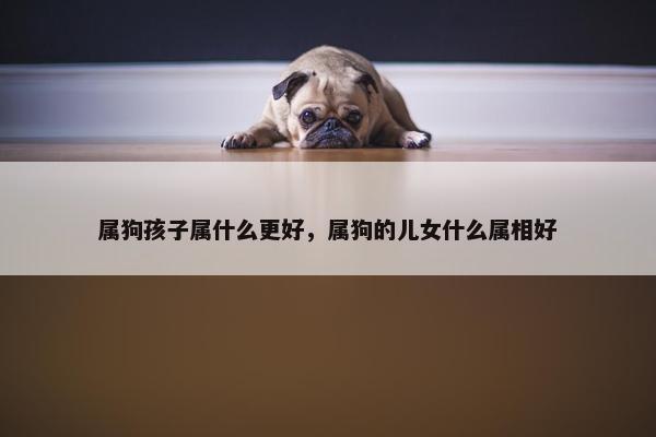 属狗孩子属什么更好，属狗的儿女什么属相好