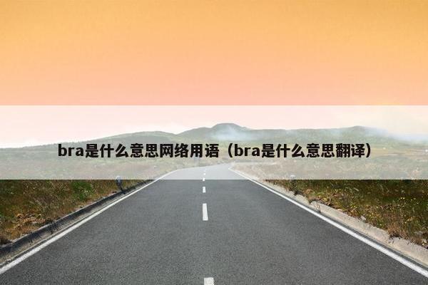 bra是什么意思网络用语（bra是什么意思翻译）