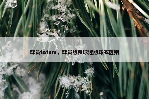 球员tatum，球员版和球迷版球衣区别