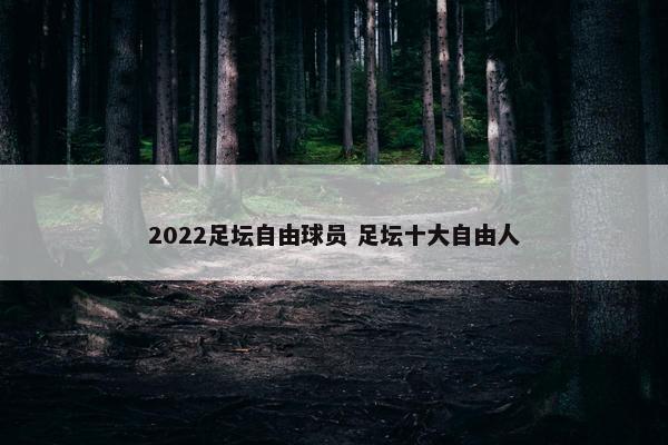 2022足坛自由球员 足坛十大自由人