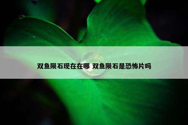 双鱼陨石现在在哪 双鱼陨石是恐怖片吗