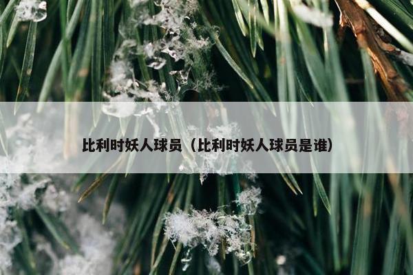 比利时妖人球员（比利时妖人球员是谁）