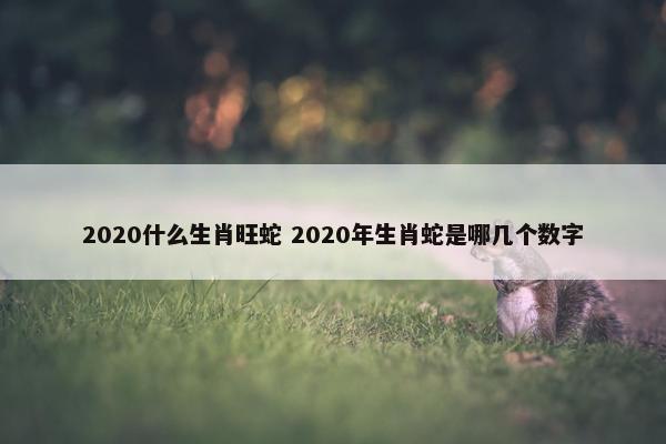 2020什么生肖旺蛇 2020年生肖蛇是哪几个数字