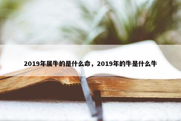 2019年属牛的是什么命，2019年的牛是什么牛