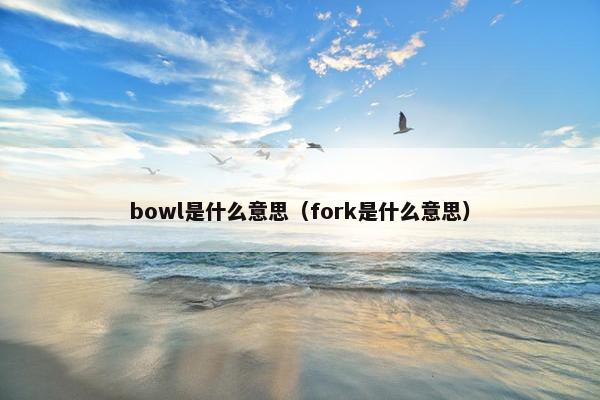 bowl是什么意思（fork是什么意思）