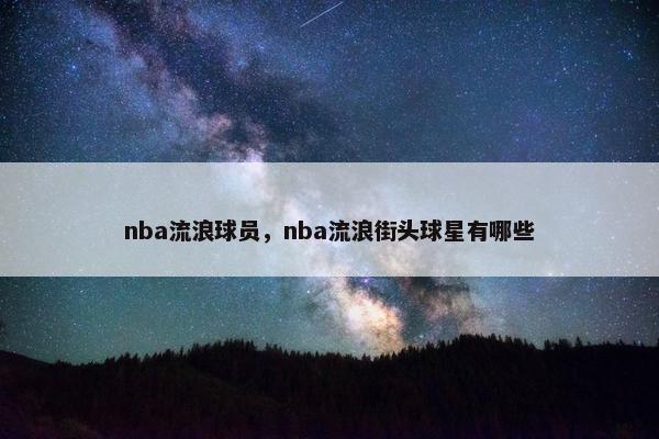 nba流浪球员，nba流浪街头球星有哪些