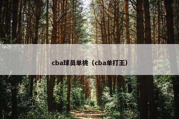 cba球员单挑（cba单打王）