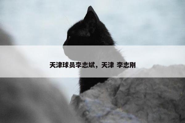 天津球员李志斌，天津 李志刚