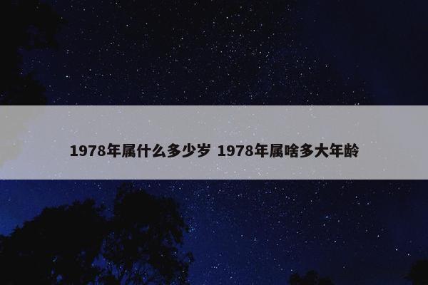 1978年属什么多少岁 1978年属啥多大年龄