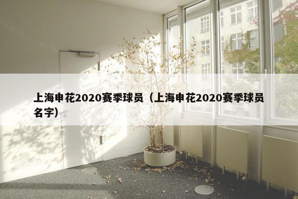 上海申花2020赛季球员（上海申花2020赛季球员名字）