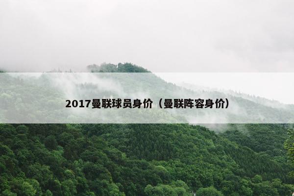 2017曼联球员身价（曼联阵容身价）