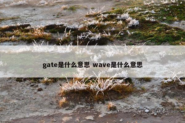 gate是什么意思 wave是什么意思