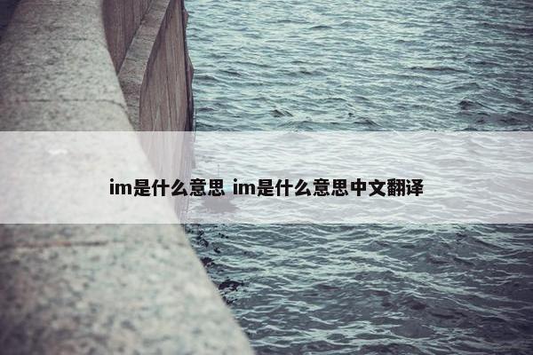 im是什么意思 im是什么意思中文翻译