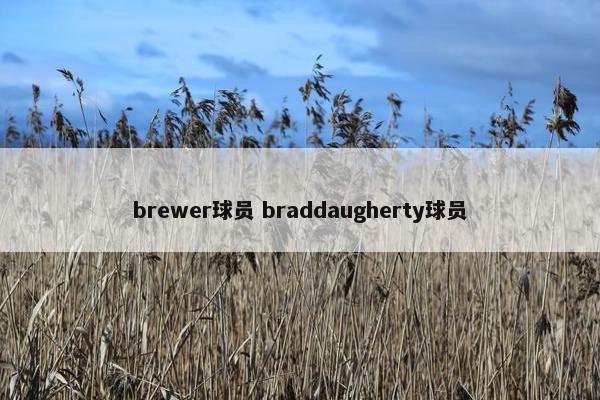 brewer球员 braddaugherty球员