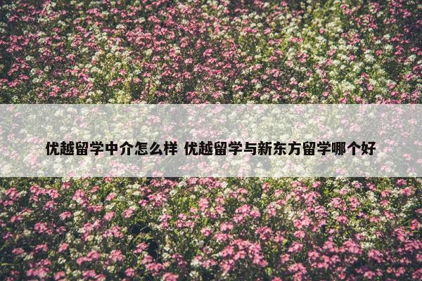 优越留学中介怎么样 优越留学与新东方留学哪个好