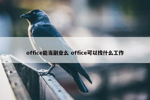 office能当副业么 office可以找什么工作