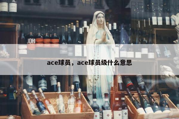 ace球员，ace球员级什么意思