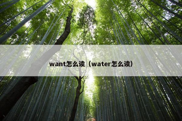 want怎么读（water怎么读）