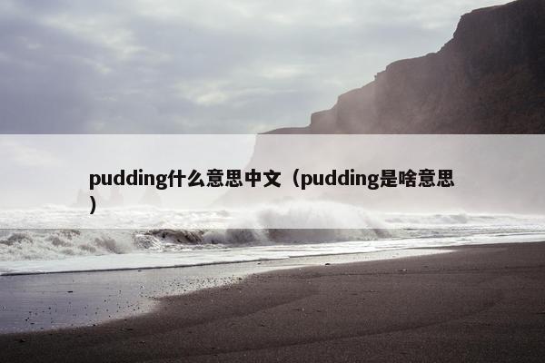 pudding什么意思中文（pudding是啥意思）