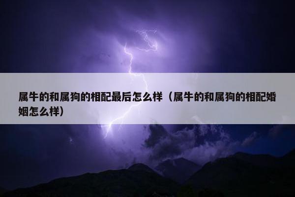 属牛的和属狗的相配最后怎么样（属牛的和属狗的相配婚姻怎么样）